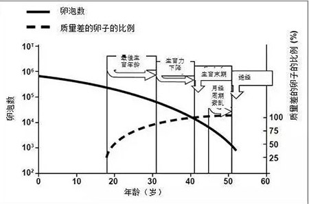 温州二院培养一个供卵生子代怀试管囊胚的费用是多少？