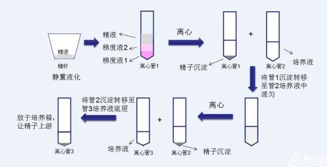 安徽合肥做赠卵试管哪个医院