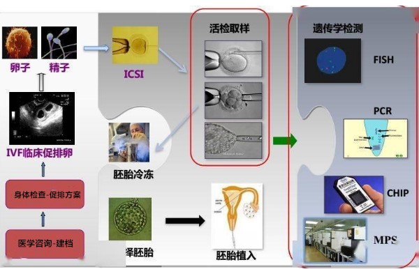 试管代怀可靠性做一次需要多少钱+代怀包生男做一次不成功多少钱