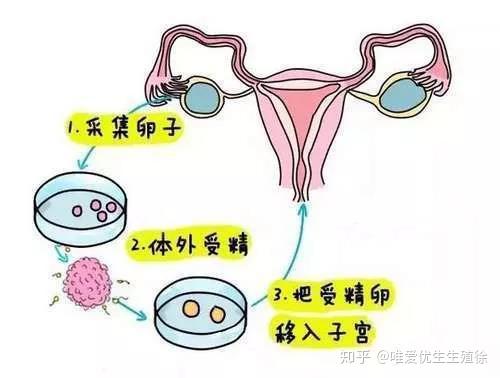 安徽合肥试管费用一览表安徽合肥试管医院推荐