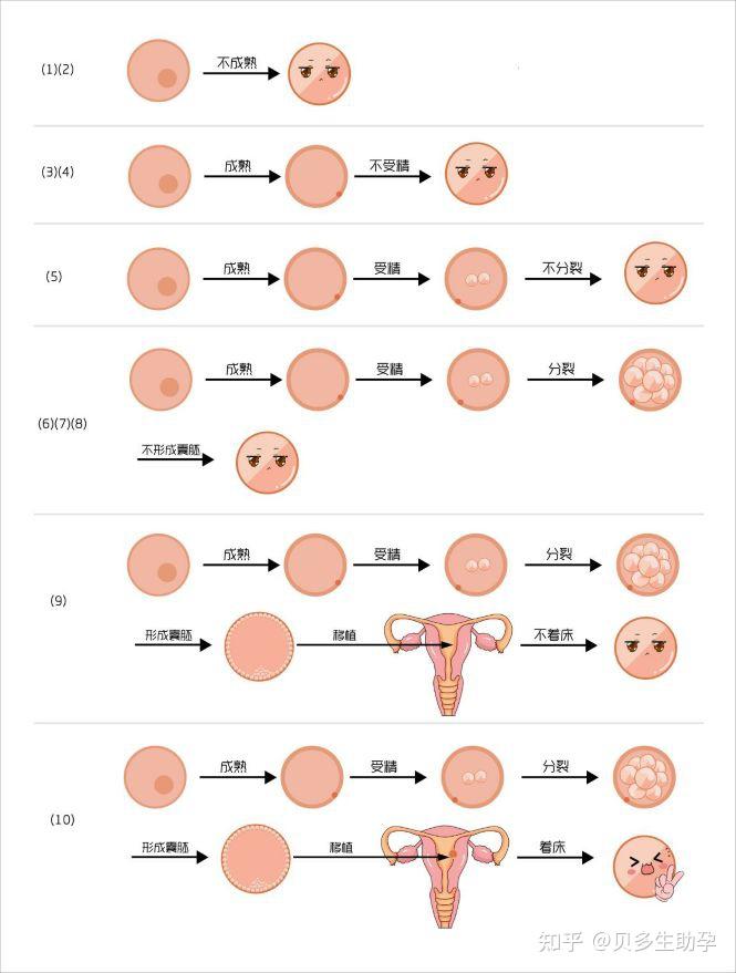 2024试管代怀婴儿请假攻略+求分享赠卵试管代生婴儿请假的攻略