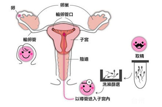 合肥省立医院试管移植C组