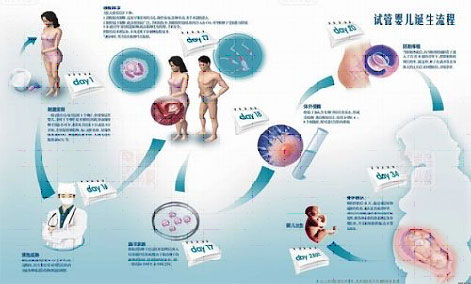 2024年安徽合肥博爱医院供卵试管公立医院要多少钱